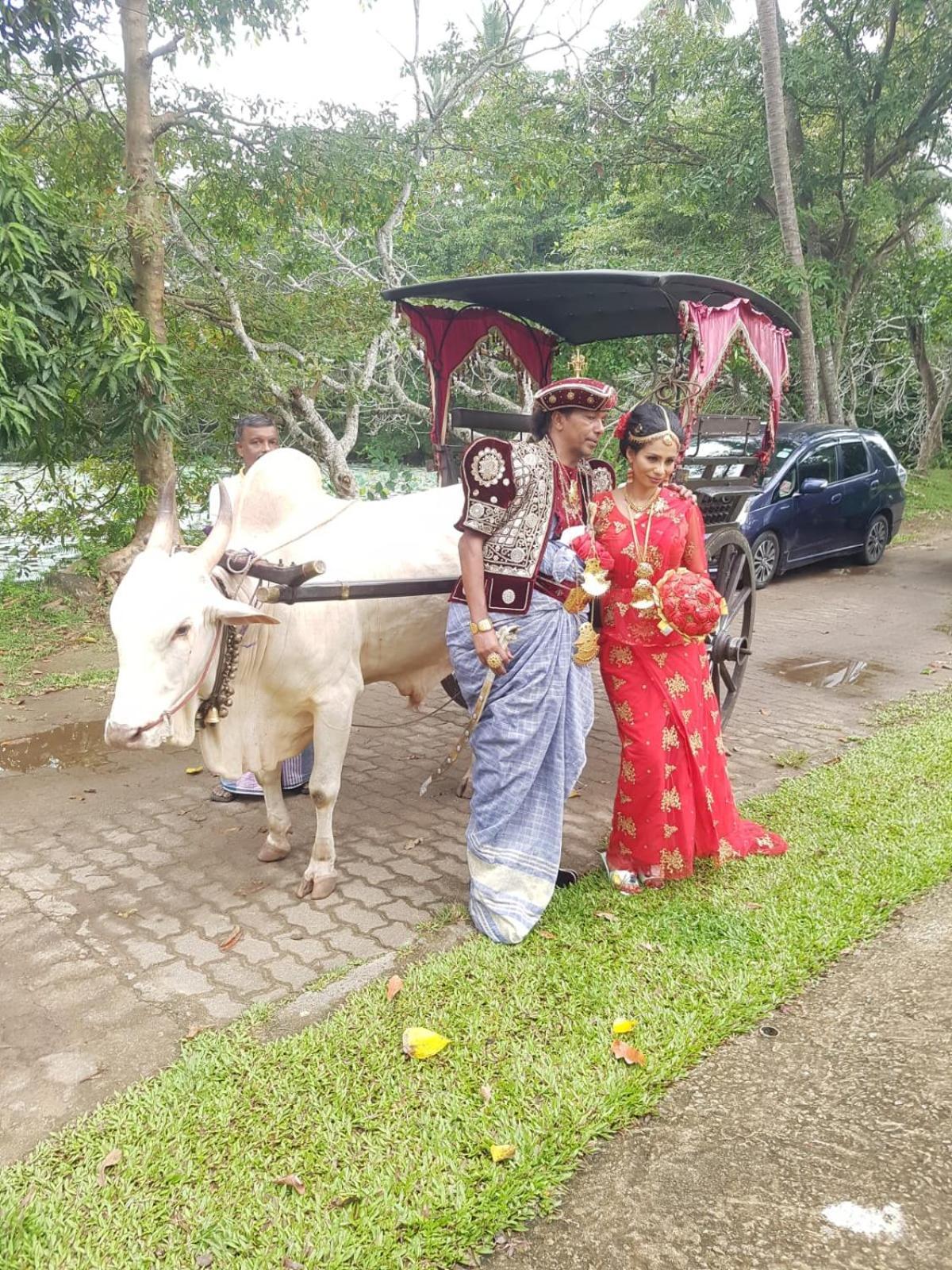 Star Home Stay بينتوتا المظهر الخارجي الصورة