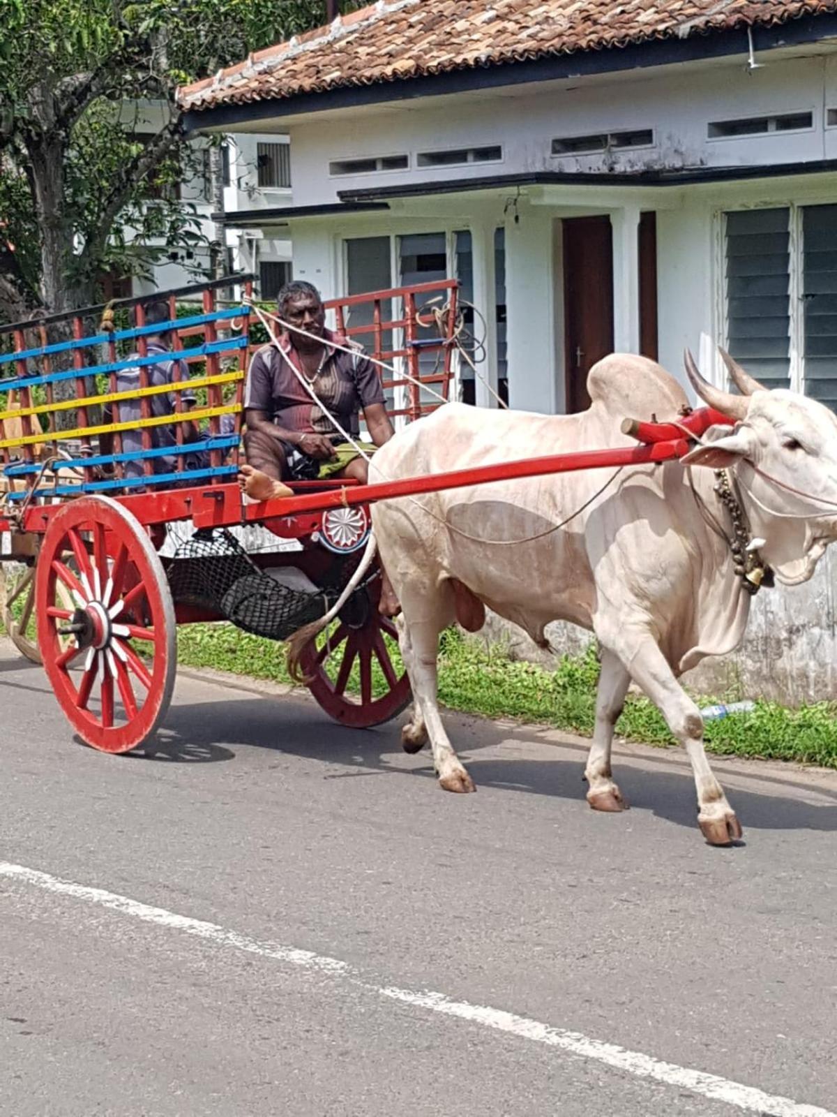 Star Home Stay بينتوتا المظهر الخارجي الصورة
